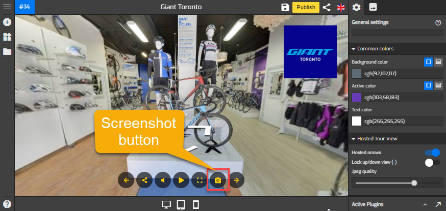 How to Extract High-Quality Still Images from Panoramas Using GoThru